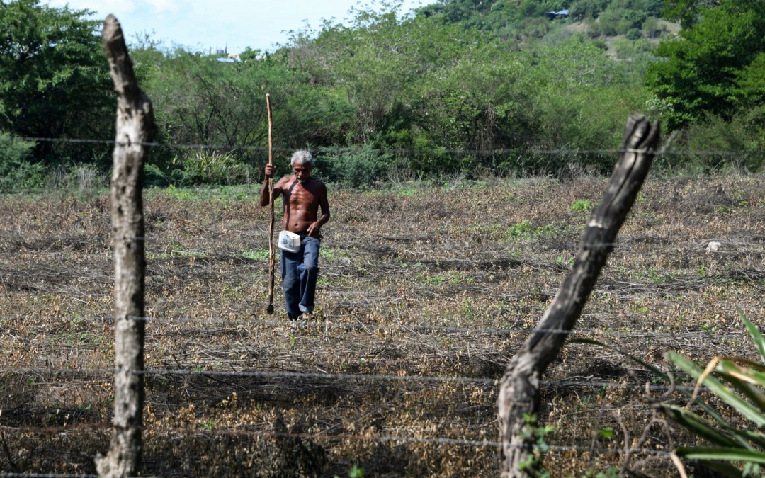 HONDURAS-WEATHER-DROUGHT